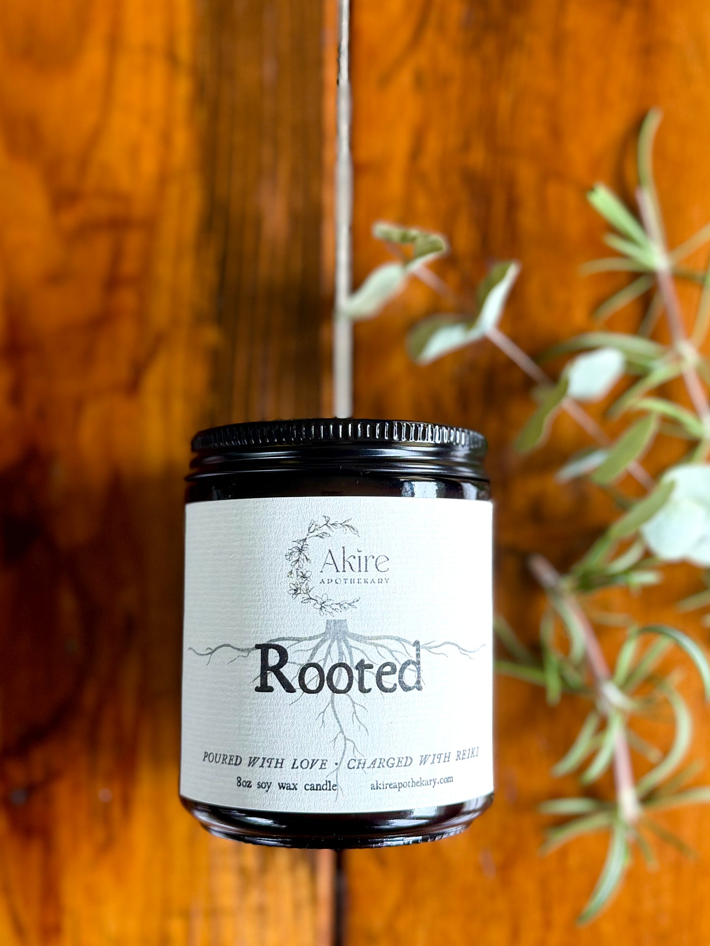 Candle: Rooted